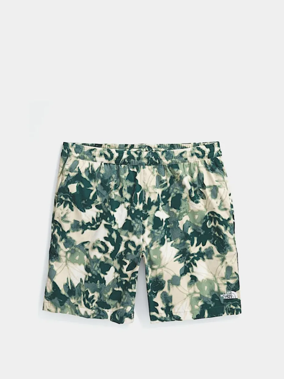 The North Face Class V Pathfinder Shorts