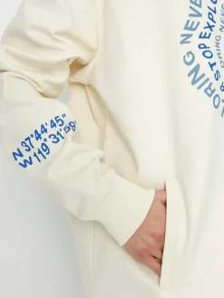 The North Face Nse Graphic HD Hoodie