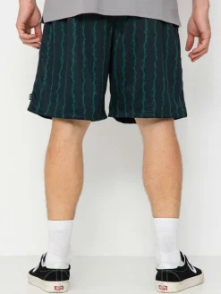 Vans Skate Loose Sport Shorts