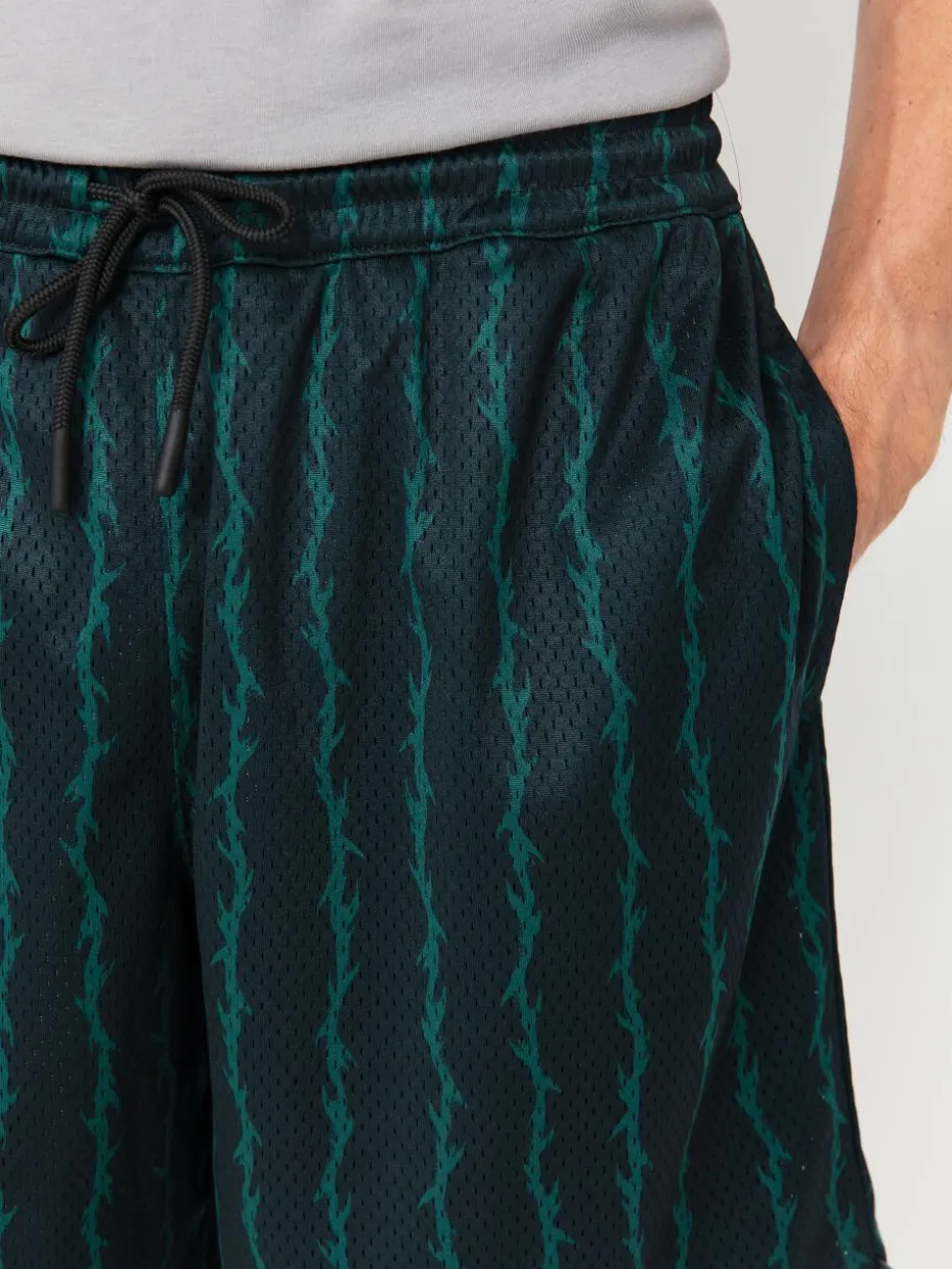 Vans Skate Loose Sport Shorts