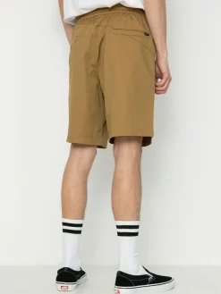 Volcom Frickin Ew 19 Shorts