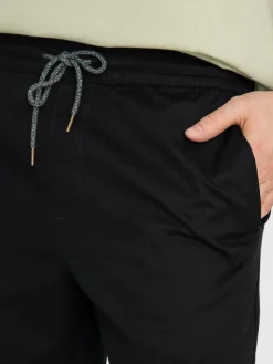 Volcom Frickin Ew 19 Shorts